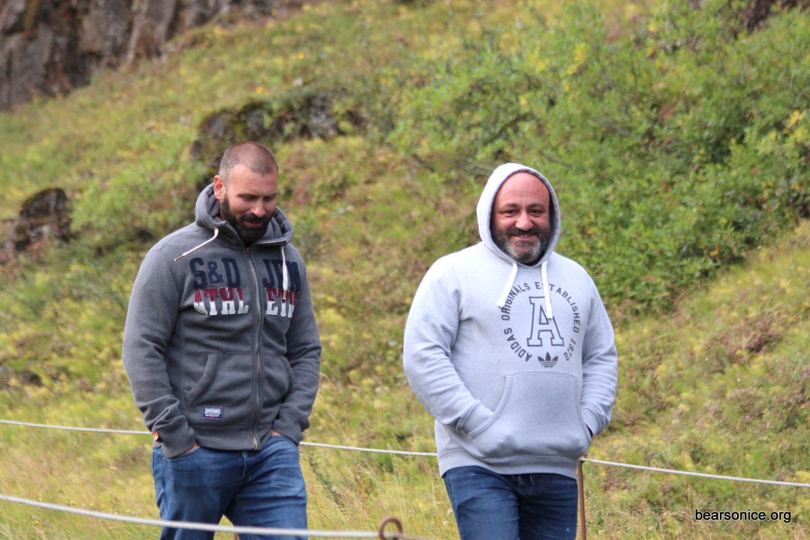 Bears On Ice - Gullni hringurinn 2019