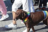 pride2017