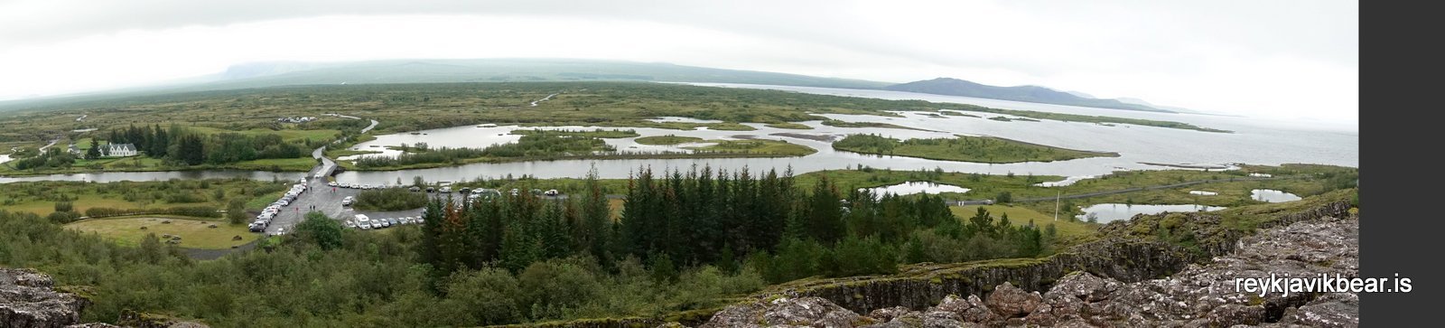 rvk-bear-21-golden-circle