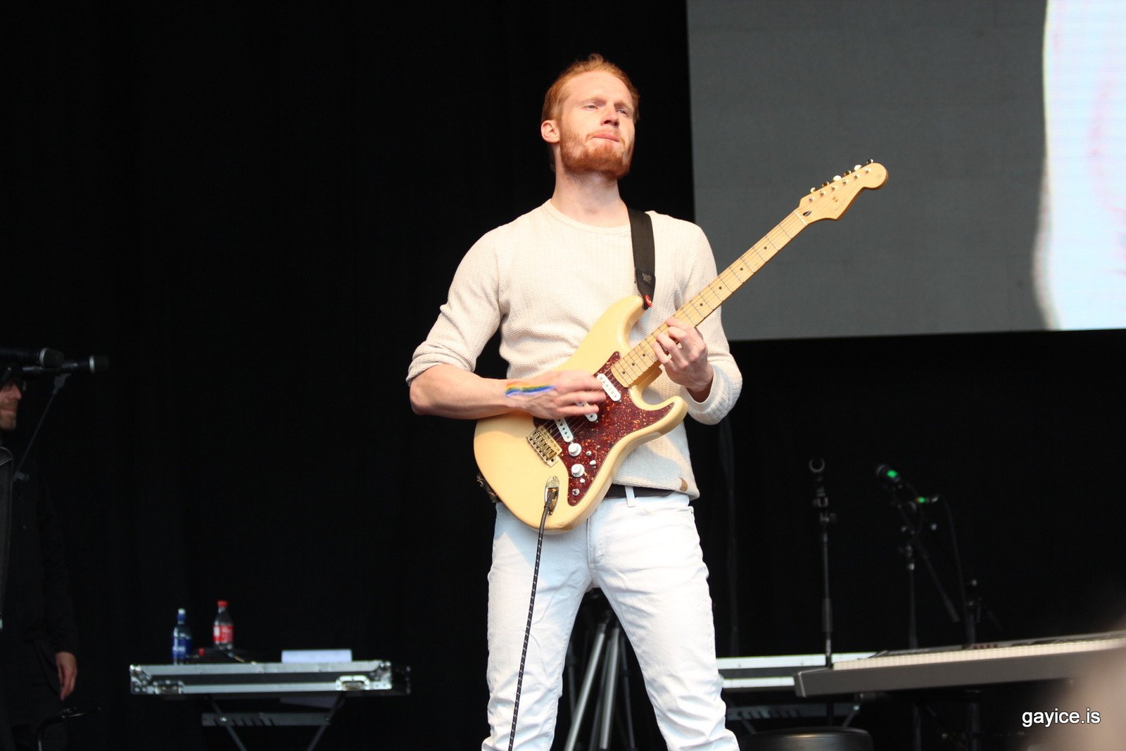 Gleðigangan 2015 - Svið