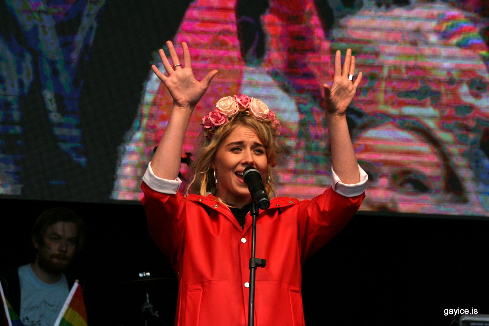 Gleðigangan 2015 - Svið