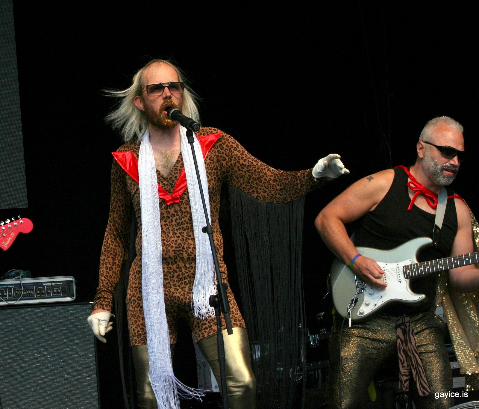 Gleðigangan 2015 - Svið
