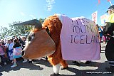 Gle&eth;igangan / Reykjavik Pride 2025 svipmyndir