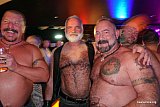 Bears On Ice 2019 - Part&yacute;in og br&ouml;ns