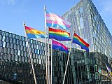 Opnunarh&aacute;t&iacute;&eth; Hinsegin daga 2015
